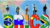 BRICS Organization