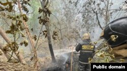 Тушение пожара в Абайской области