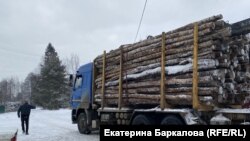 Большегрузы с грохотом несутся мимо деревни Лужицы