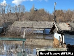 Дома в пойме реки Тобол. 10 апреля 2024 года