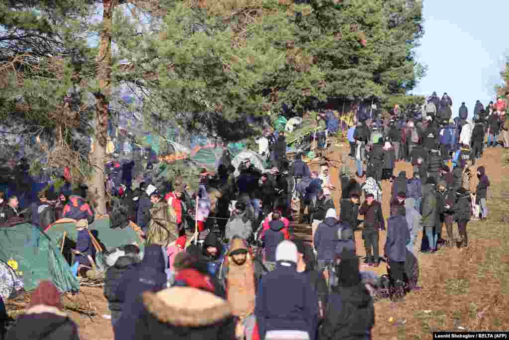 Мигранты на границе с Польшей в Гродненской области Беларуси &nbsp;