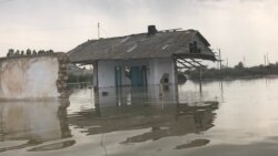 Нариман Қыпшақбаев: Өзбекстан Сардоба су қоймасын көршілерінің келісімінсіз салды