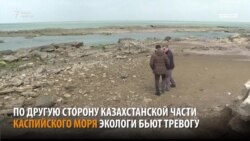 Каспий. Новое Аральское море?