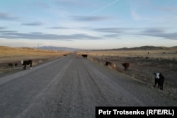 Дорога в селе Теректы. Каркаралинский район Карагандинской области. 8 октября 2024 года.