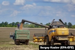 Комбайн засыпает в грузовик свежесобранную пшеницу. Харьковская область, 30 июля