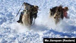 Кочевники во Внутренней Монголии