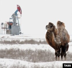 На нефтяном месторождении Северные Бузачи на полуострове Мангышлак. 2 марта 2005 года.