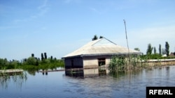 Жители села утверждают, что домам, простоявшим в воде, требуется только косметический ремонт