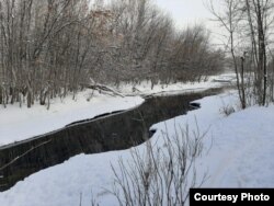 Берег реки Старицы в Перевалочной роще