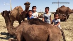 Аккудык: село без питьевой воды, газа и дорог